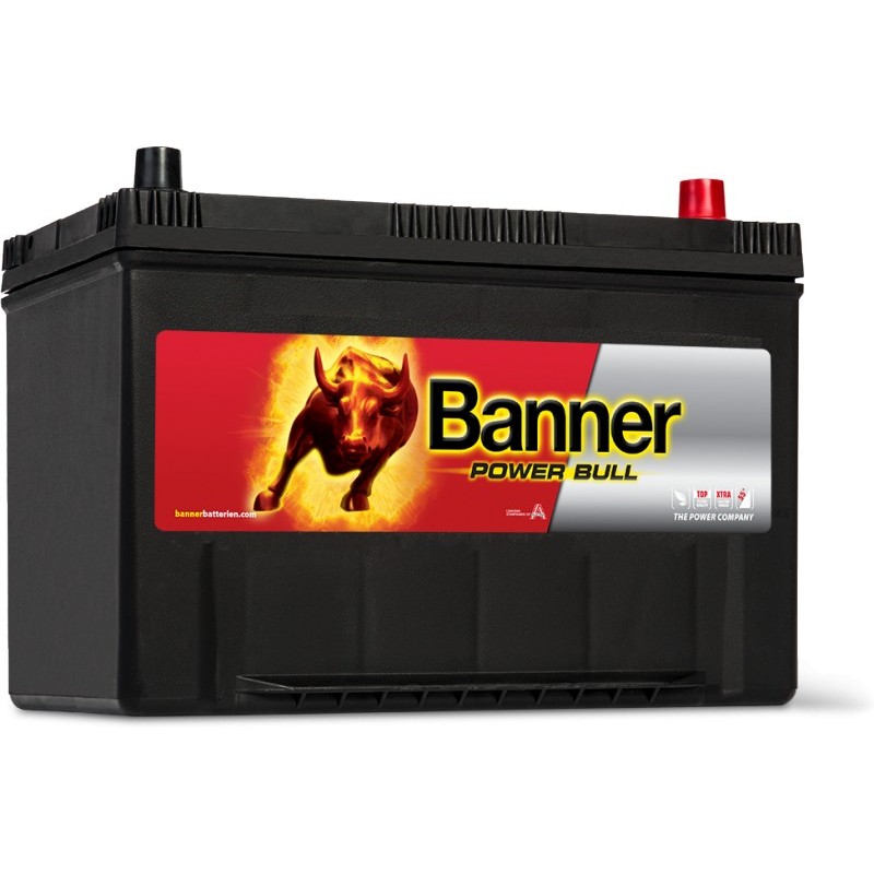 BATTERIE BANNER Power Bull12V 95AH 740 A 