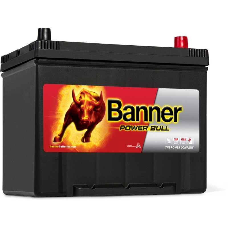 BATTERIE BANNER Power Bull 12V 70AH 600A P7029