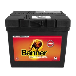 BATTERIE BANNER 12V 30Ah 300A 