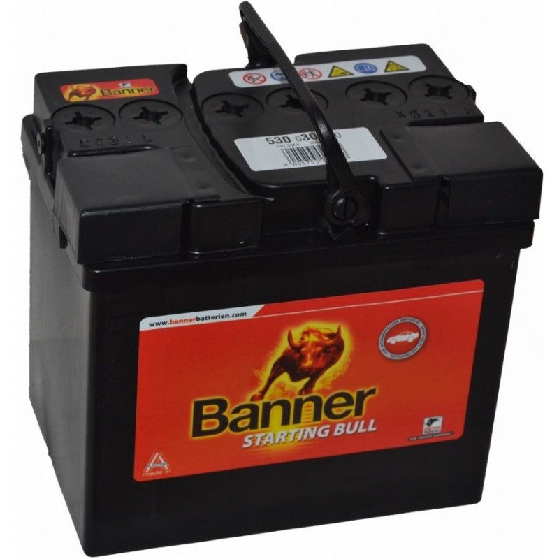 BATTERIE BANNER 12V 30Ah 300A 