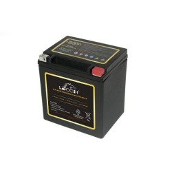 BATTERIE POUR MOTO HARLEY LEOCH ETX30L