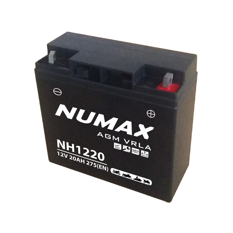 BATTERIE TONDEUSE NUMAX 12V 20Ah 275A