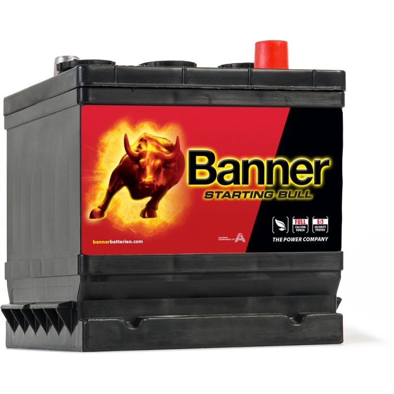 BATTERIE  BANNER 6V 66AH 360A 