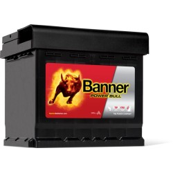 BATTERIE BANNER Power Bull 12V 50AH 450A P5003