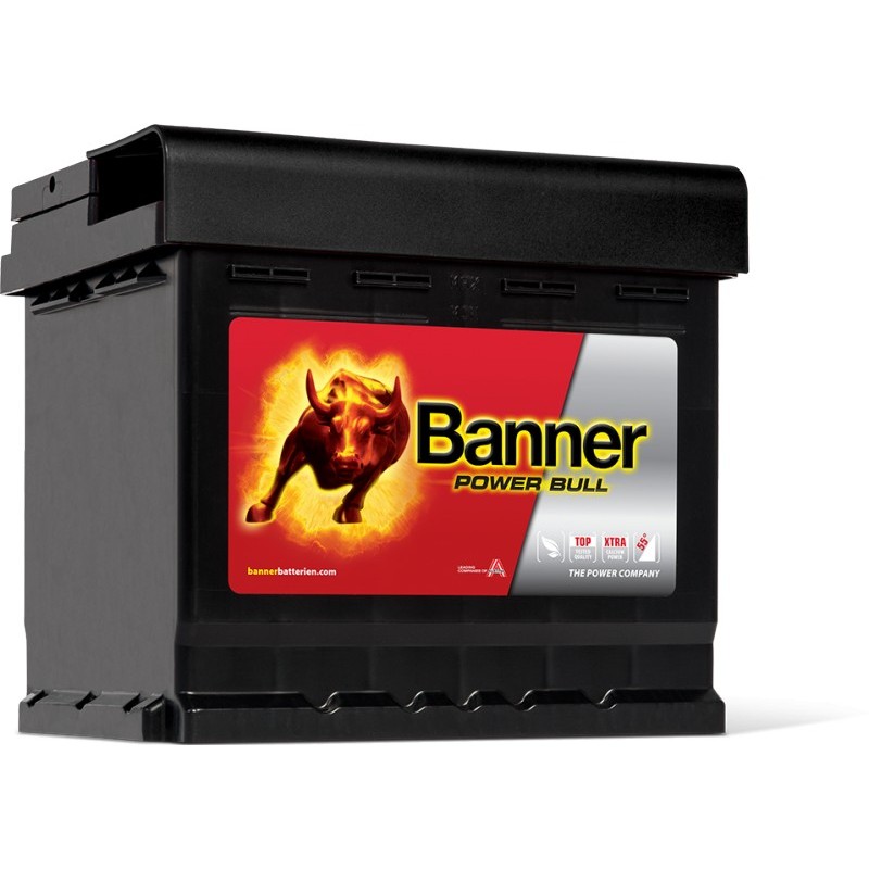 BATTERIE BANNER Power Bull 12V 50AH 450A P5003